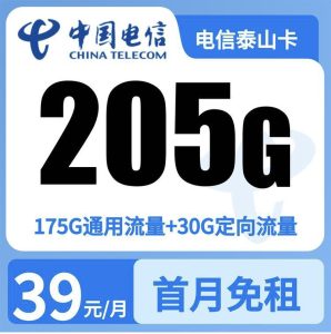 GY01电信抬头卡39元205G+0.1元/分钟【只发山东】-万优宝库・全国流量卡领取平台